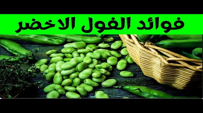 فوائد الألياف لصحة الجسم