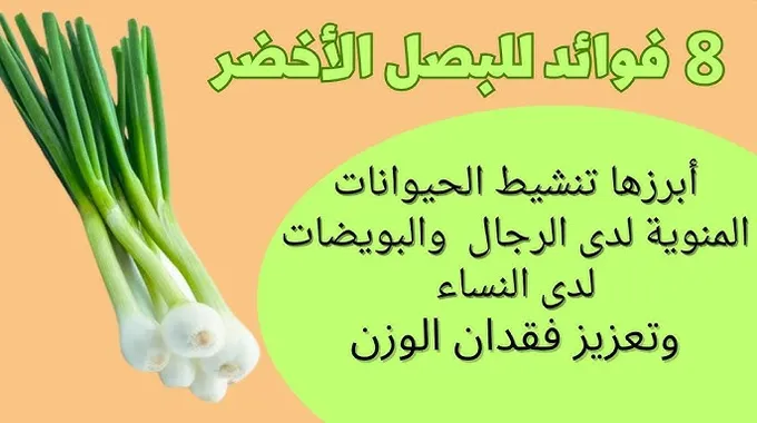فوائد البصل الصحية المتعددة للجسم