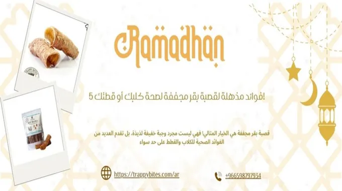 فوائد الخيار الصحية المذهلة