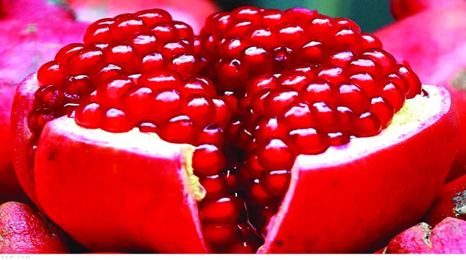 فوائد الرمان للصحة: كنز الطبيعة الشتوية