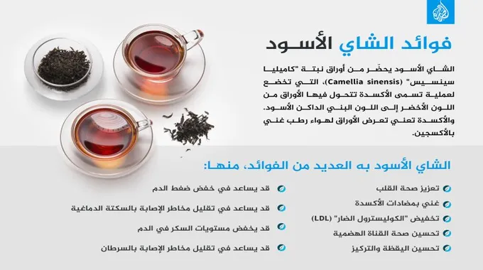فوائد الشاي الأخضر لجسمك يوميا