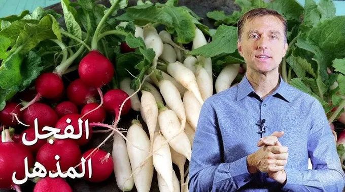 فوائد الفجل الصحية المذهلة