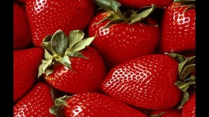فوائد الفراولة الصحية للجسم