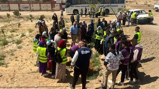 مبادرة 100 مليون شجرة تحسن البيئة في مصر