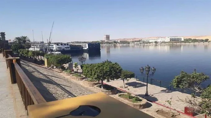 محكمة طنطا تؤيد حكم حبس مدربة الأسود أنوسة كوتة