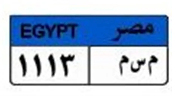 مزاد لوحة معدنية مميزة في بوابة مرور مصر