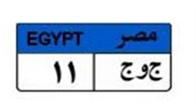 مزايدة على لوحة مميزة في مصر