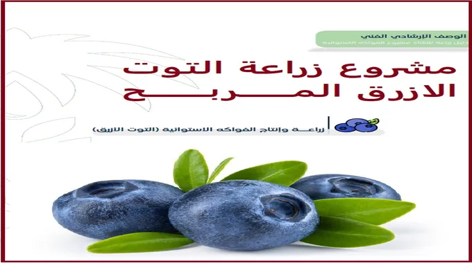 مشروع زراعة فاكهة التنين في الوادي الجديد