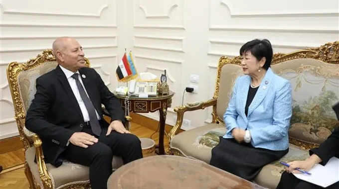 مصر تحتفل بمرور 35 عامًا على التوأمة مع طوكيو