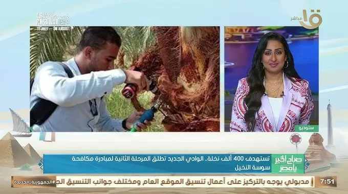 مكافحة سوسة النخيل في الوادي الجديد