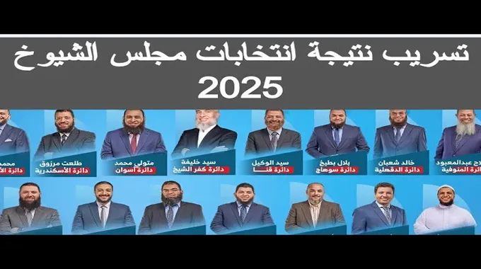 نتائج الانتخابات في دائرة قنا